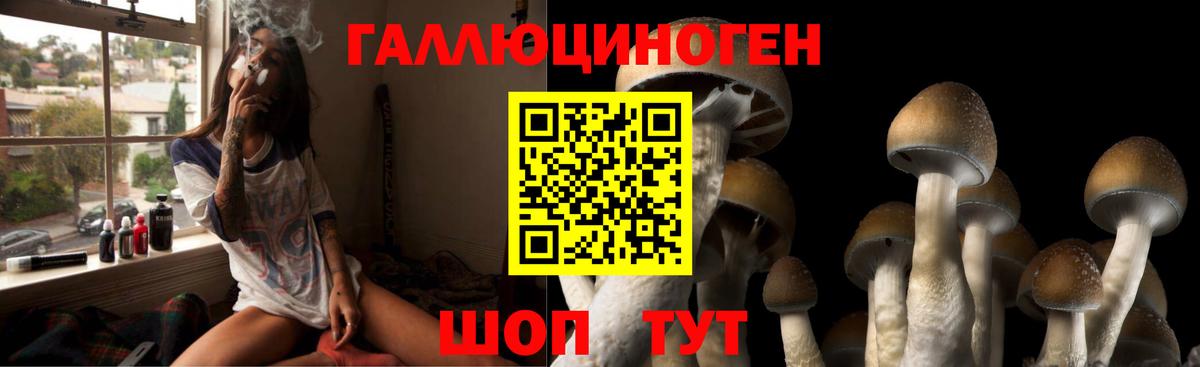 Псилоцибиновые грибы прущие грибы Рославль